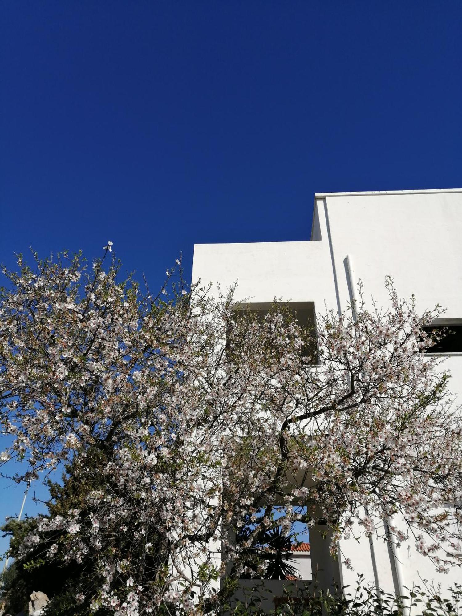 Oltre Le Dune Murta Maria Εξωτερικό φωτογραφία